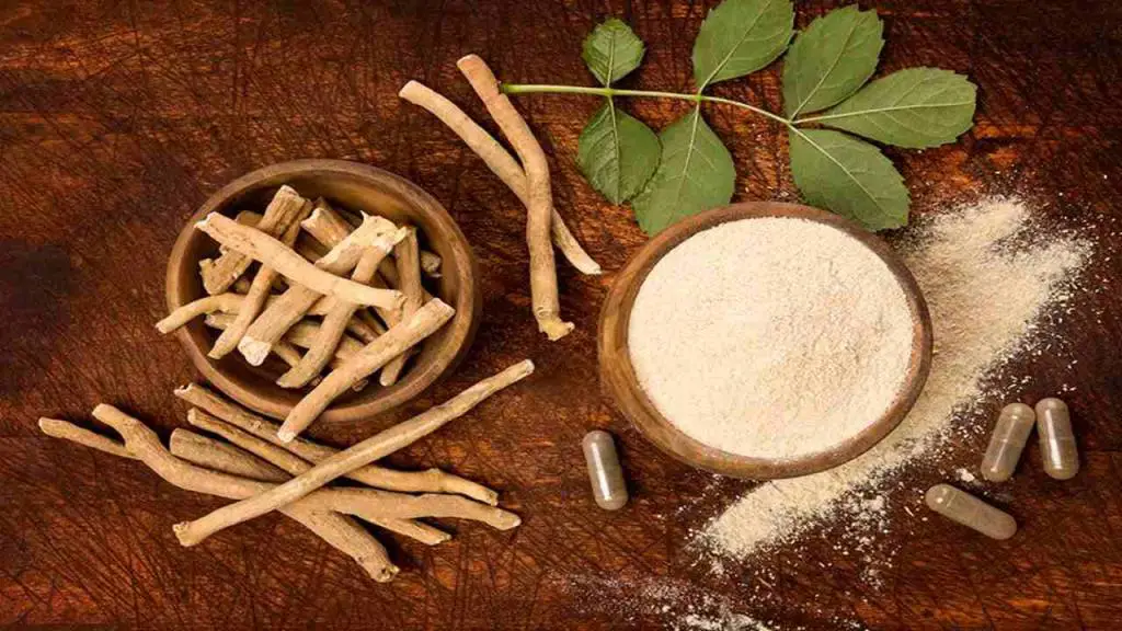 effects of ashwagandha